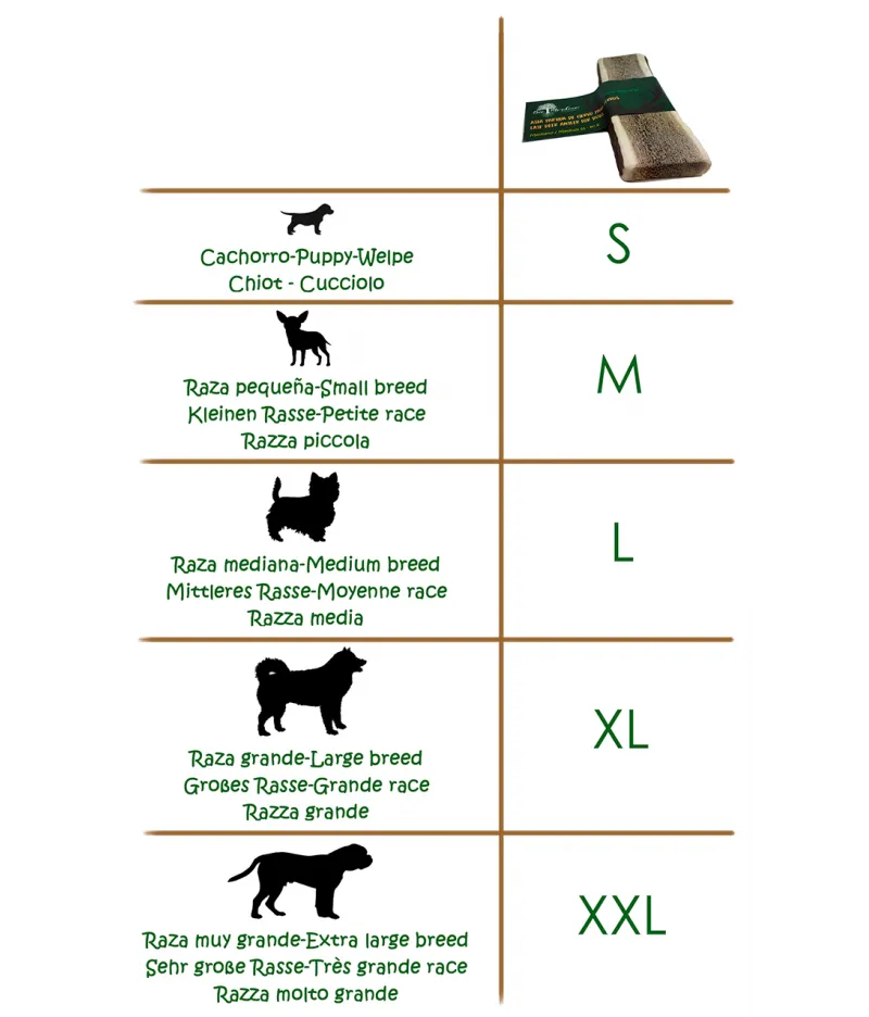 Asta de ciervo partida