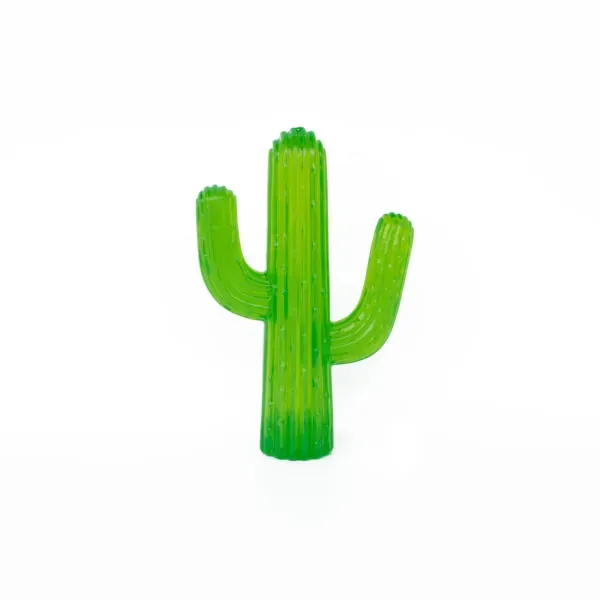 Mordedor cactus
