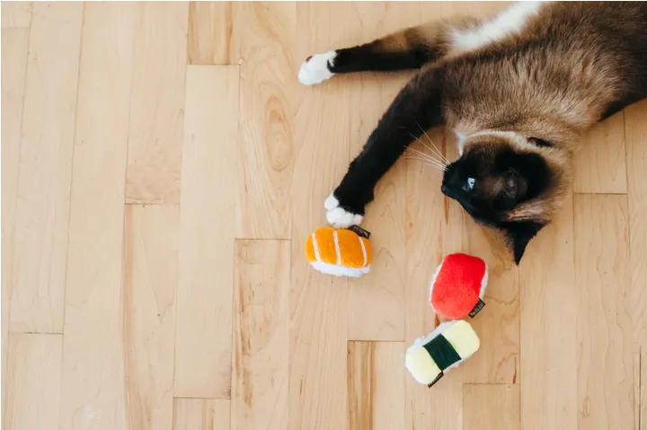 Sushi con Catnip para gatos