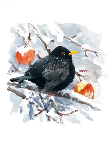 Aves que veo en invierno. Lars Jonsson.