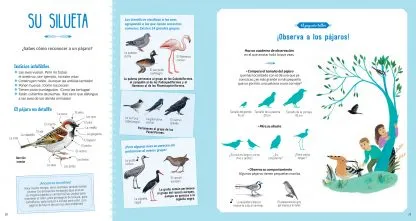 El libro de los pájaros. Nathalie Tordjman • Judith Gueyfier • Julien Norwood