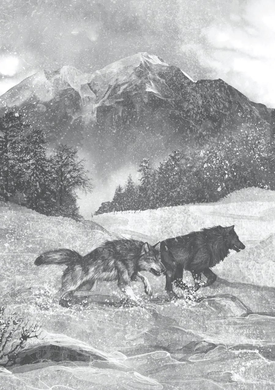 Un lobo llamado Wander. La historia real de un lobo extraordinario. Rosanne Parry.