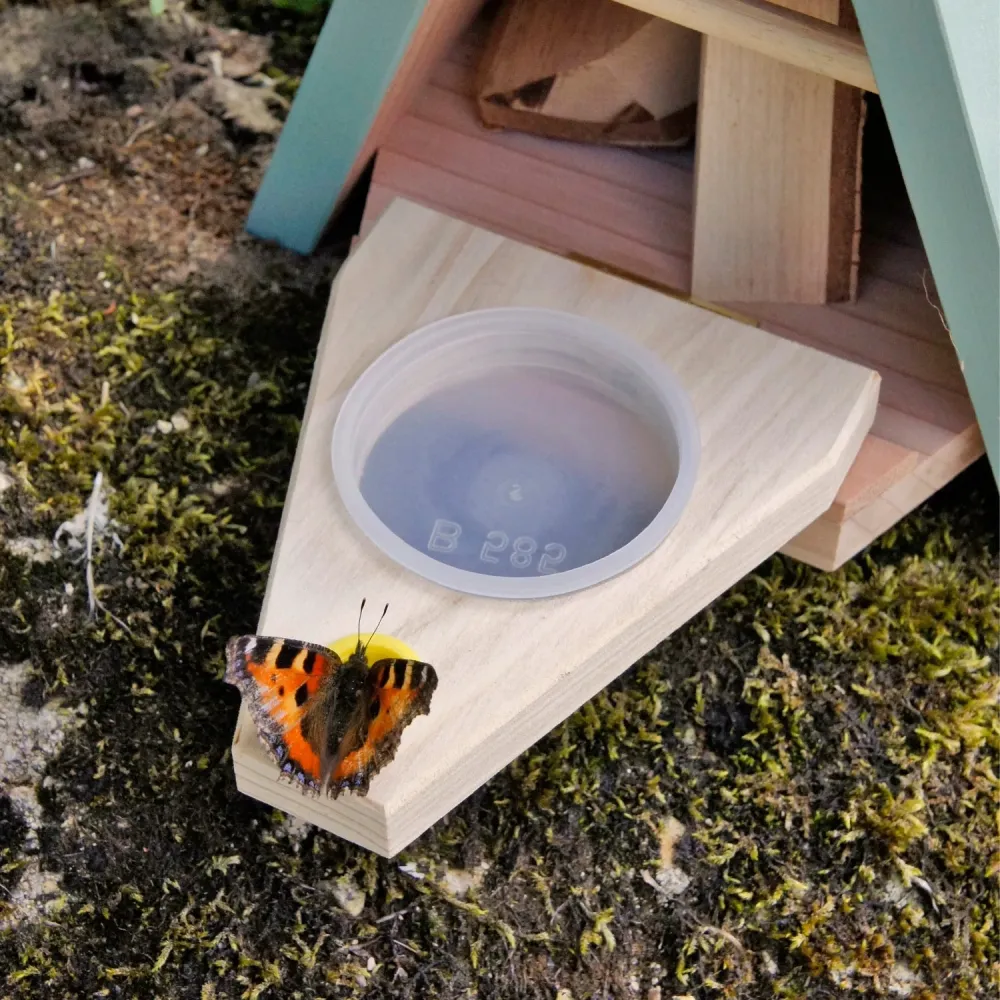 Habitat de mariposas (refugio y comedero)