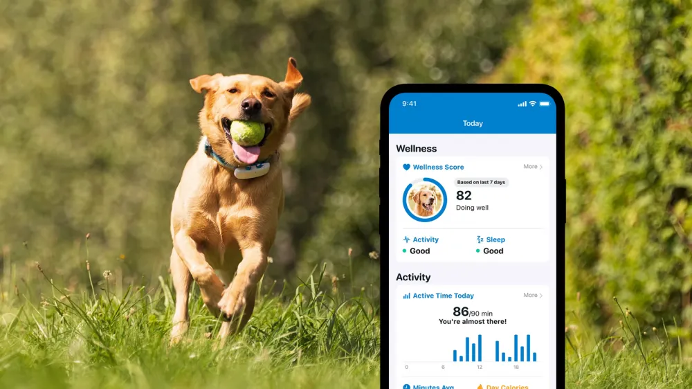 Localizador GPS para perros Tractive DOG 4