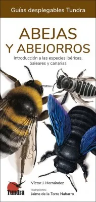 Abejas y abejorros. Guía desplegable. 