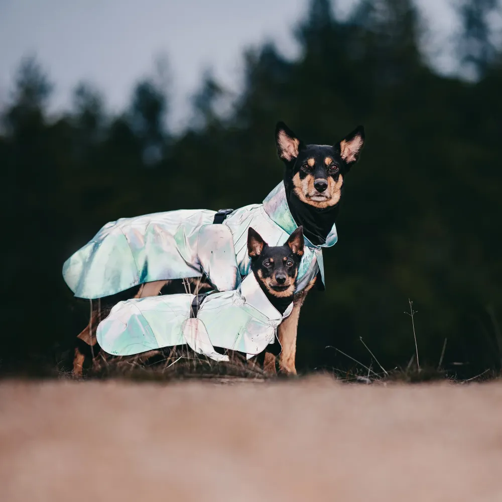 Impermeable REFLECTANTE Turquesa