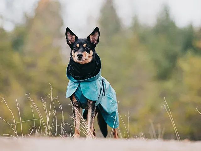 Impermeable REFLECTANTE Turquesa