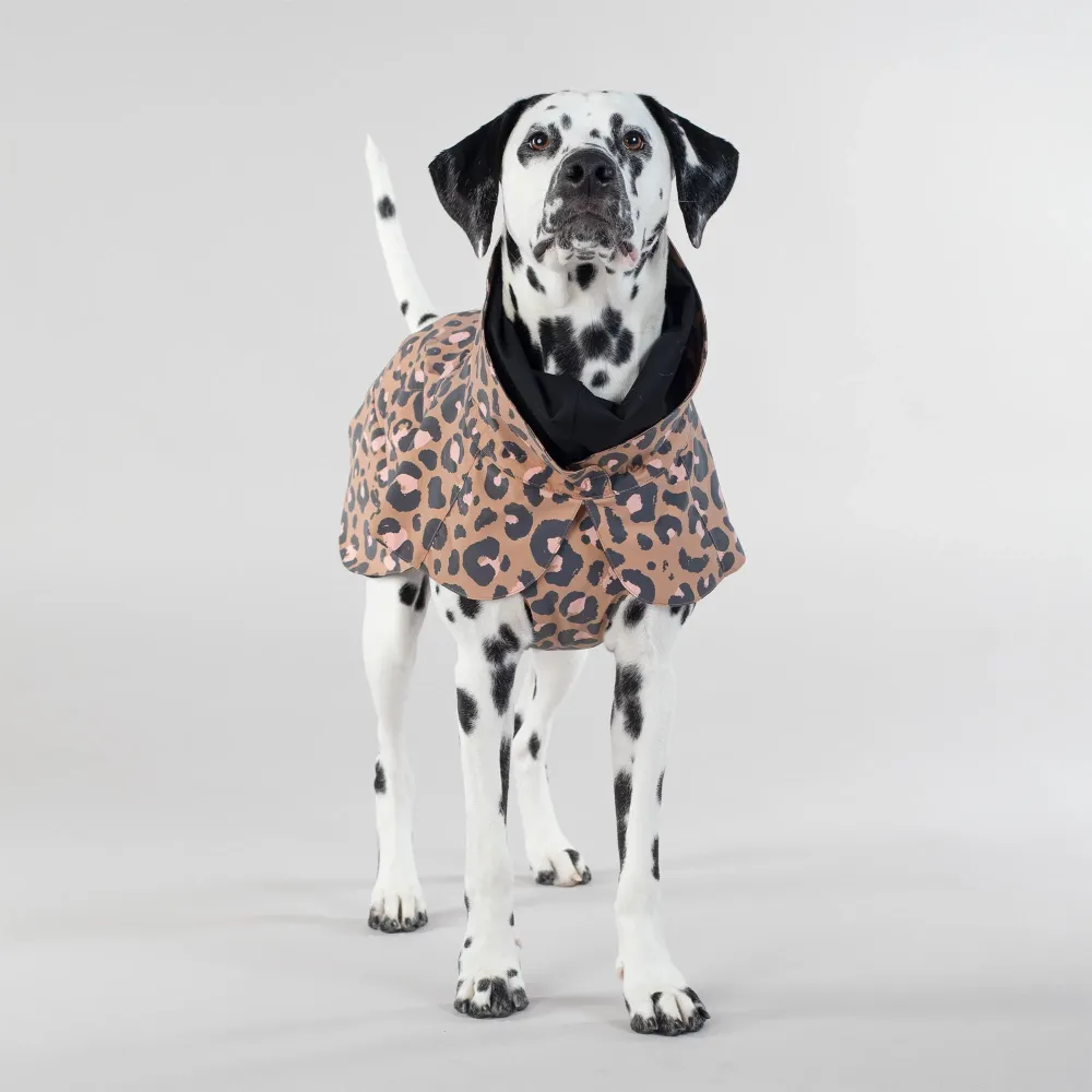 Impermeable REFLECTANTE Leo 