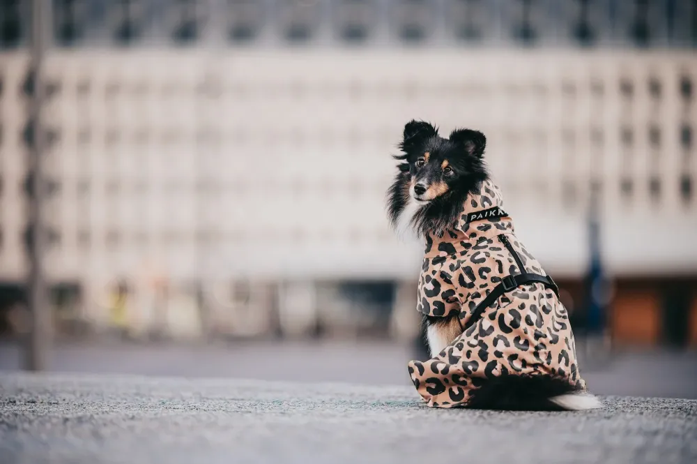 Impermeable REFLECTANTE Leo 