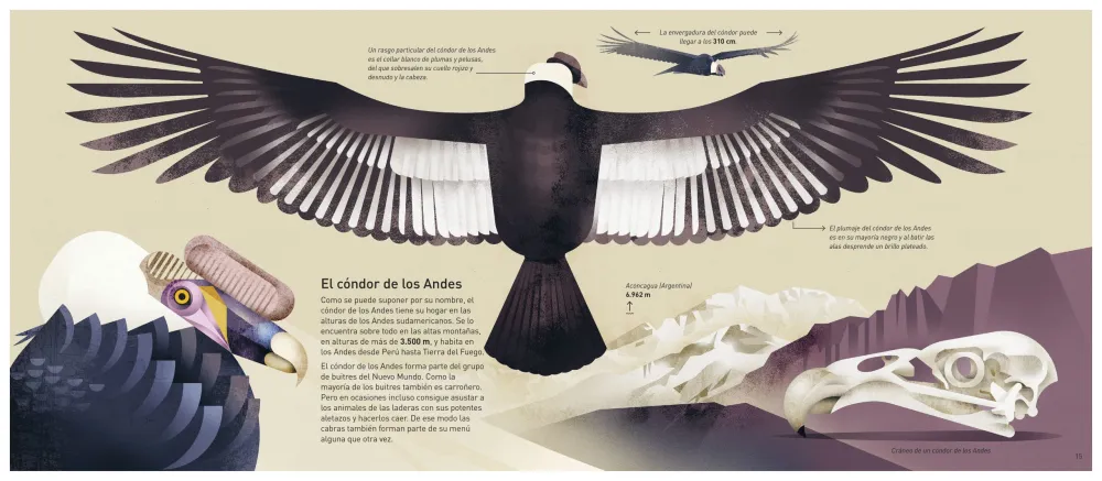 El mundo de las montañas. Dieter Braun.