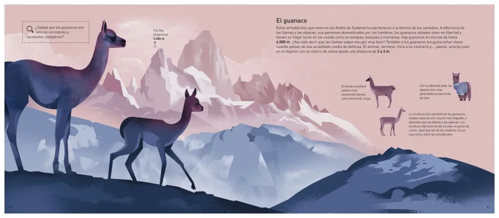 El mundo de las montañas. Dieter Braun.