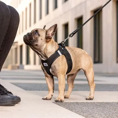 Vest Harness  Clasp Air-Mesh negro