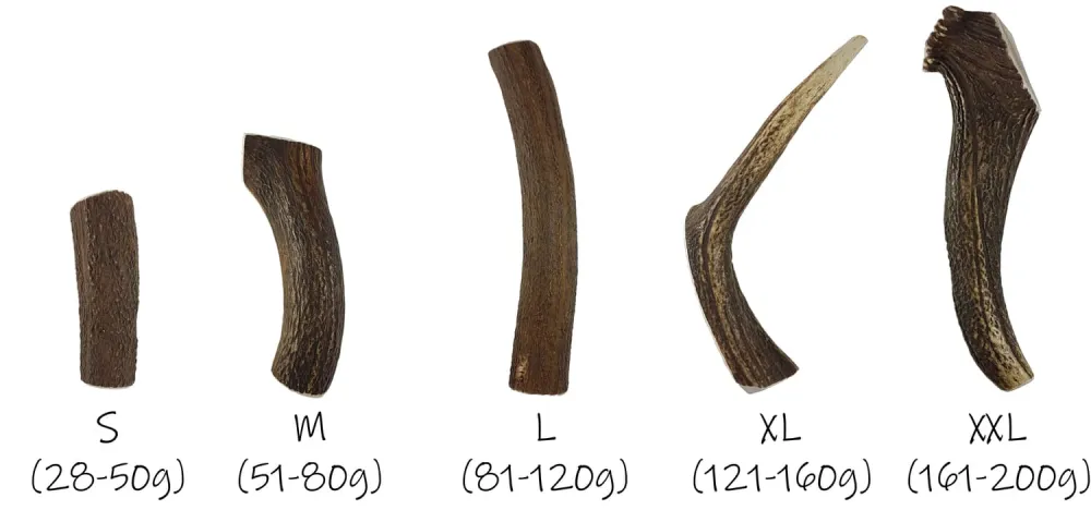 Asta de ciervo partida