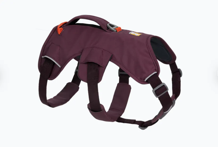 Arnés 3 puntos Web Master Purple Rain