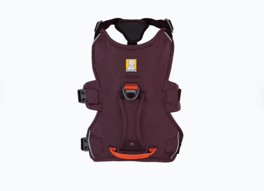 Arnés 3 puntos Web Master Purple Rain