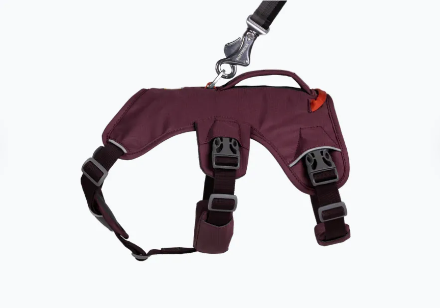 Arnés 3 puntos Web Master Purple Rain