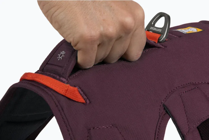 Arnés 3 puntos Web Master Purple Rain