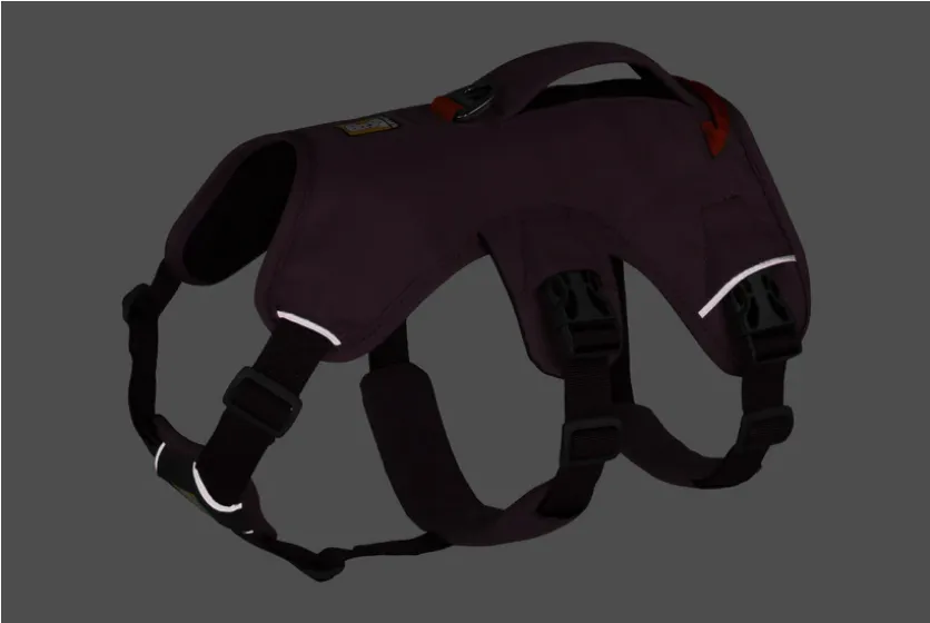 Arnés 3 puntos Web Master Purple Rain