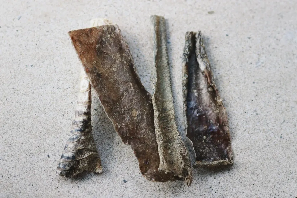 Piel de avestruz 100g