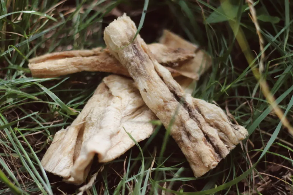 Tripa Blanca de vacuno 250g