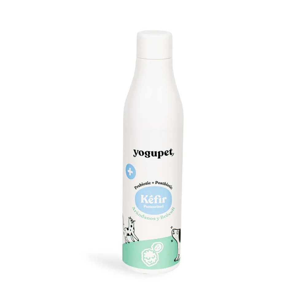 Kéfir digestivo arándanos y brócoli (pre y postbiótico) 200ml