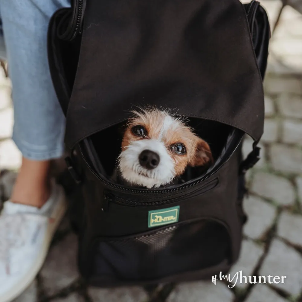 Mochila Miles (hasta 6.5kg)