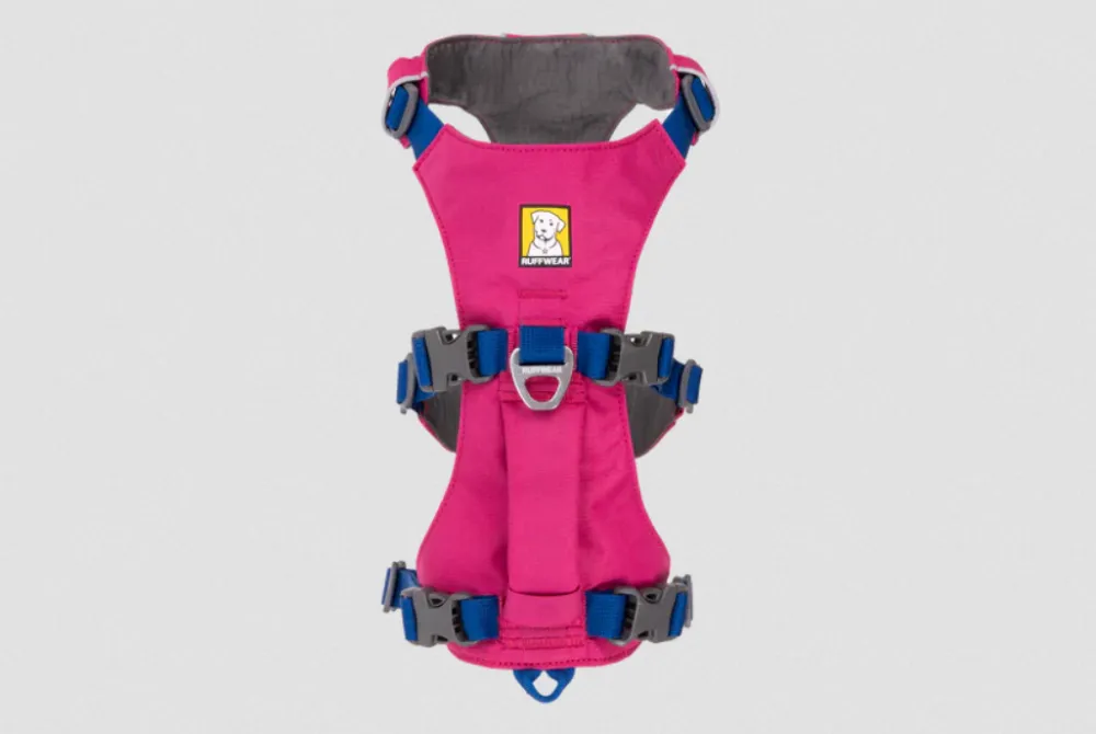 Arnés tres puntos Flagline Alpenglow Pink