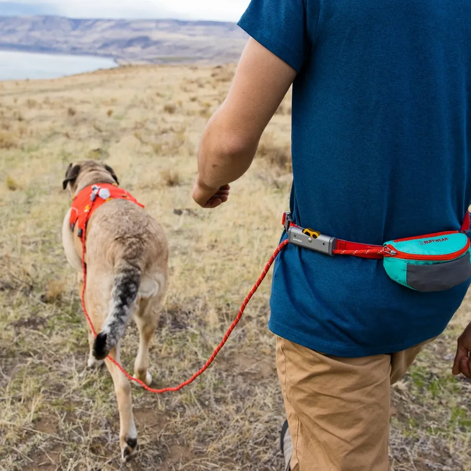 Hitch HikerTM Leash  Aurora Teal (cinturón+correa)