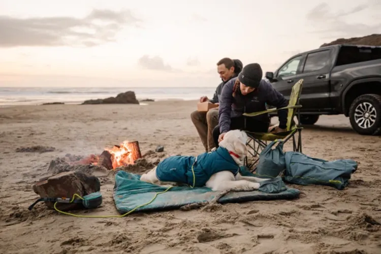 Hitch Hiker Leash Slate Blue (cinturón+correa)