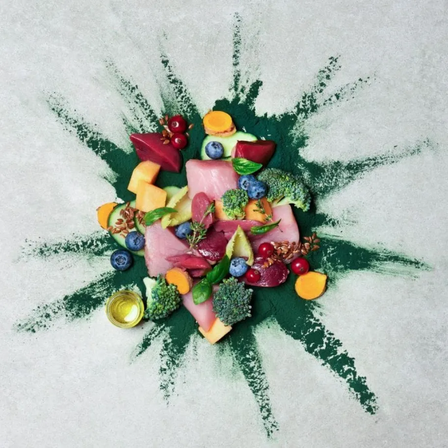 Menú pato y pavo con brocoli, melón y grosella roja 400g