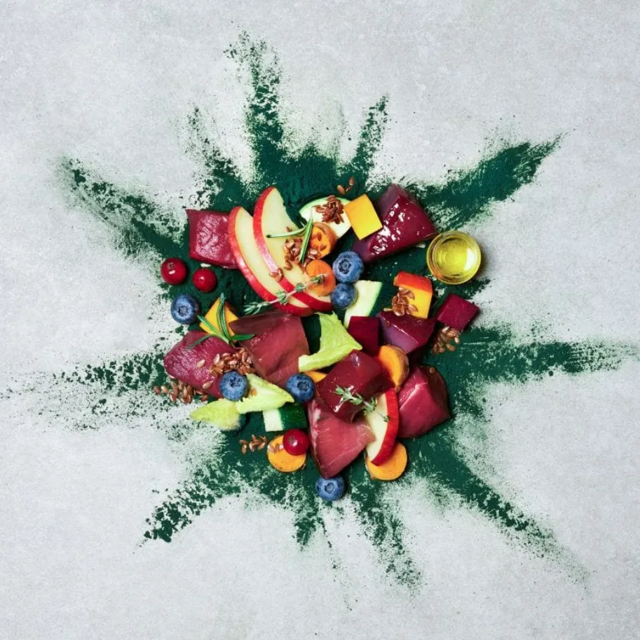 Menú buey y venado con calabaza, manzana y arándanos 400g