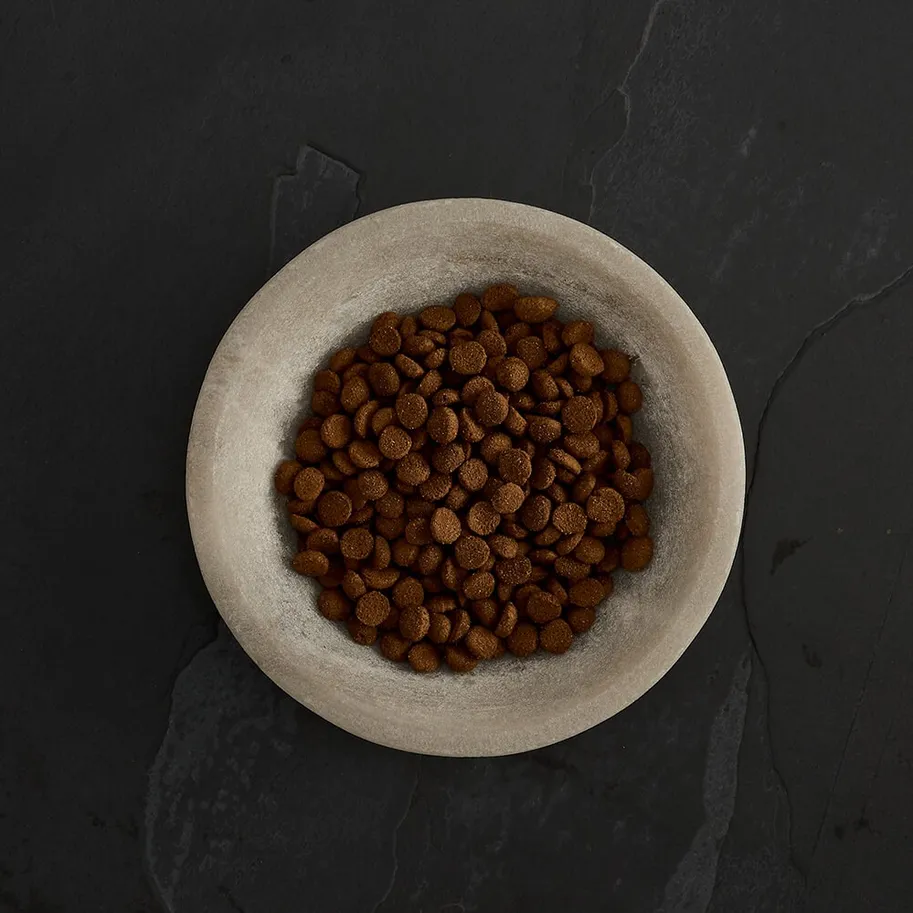 Menú pavo campero prodental