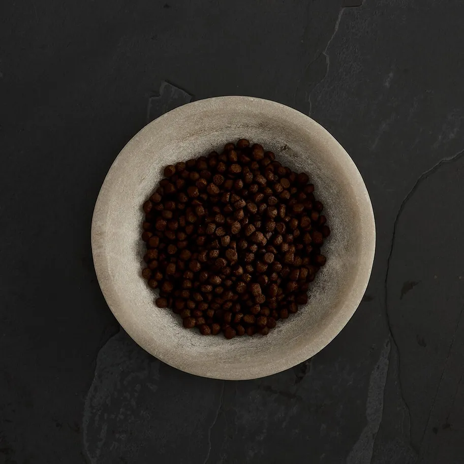 Menú salmón, arenque y trucha