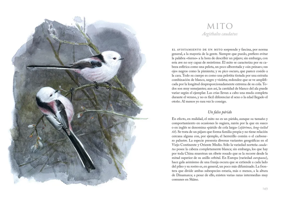 Aves que veo en invierno. Lars Jonsson.