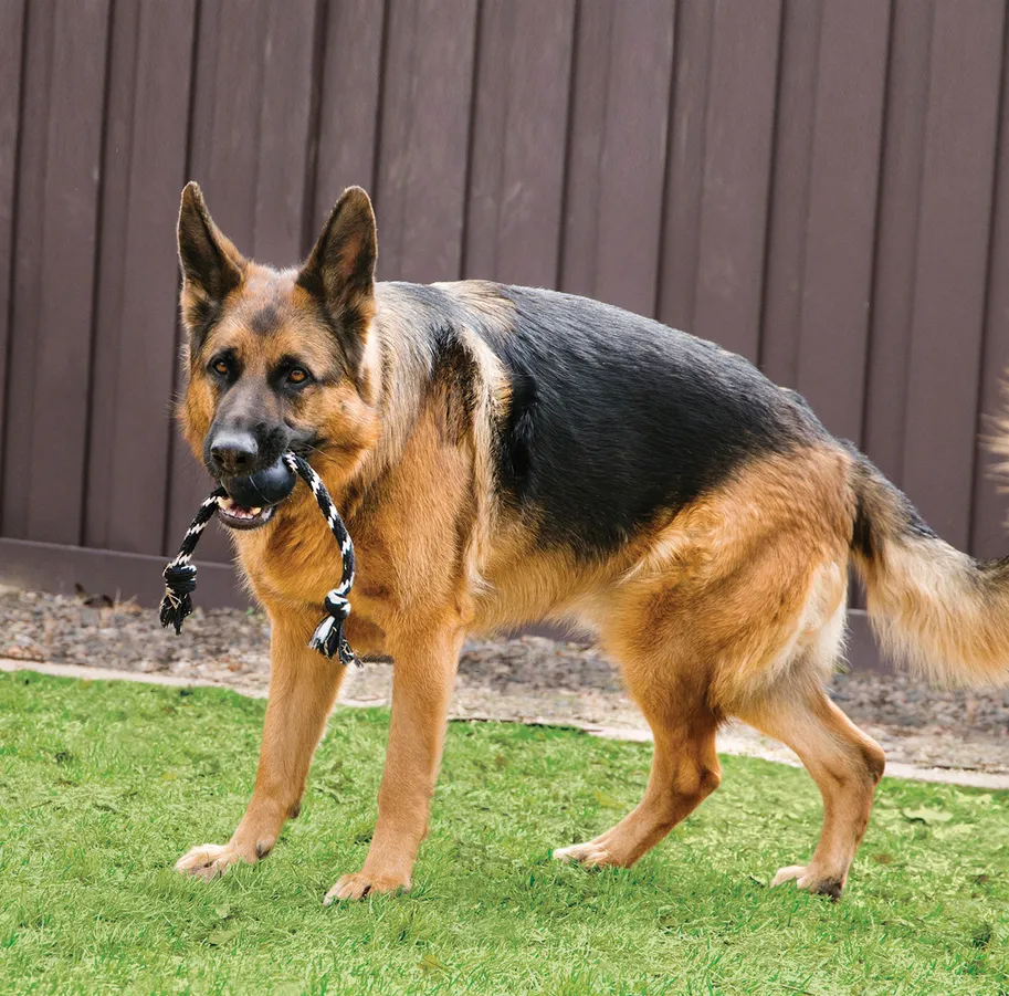 Kong extreme ball con cuerda (L)